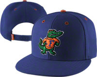 Florida Gators Hats